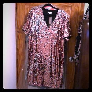 J. Crew Sequin Dress